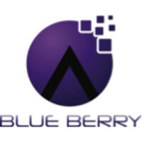 Blue Berry e- Services